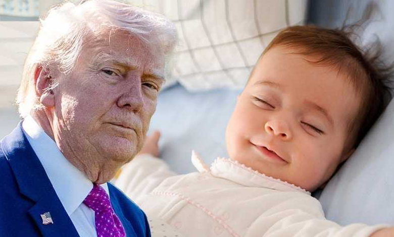 المحكمة العليا